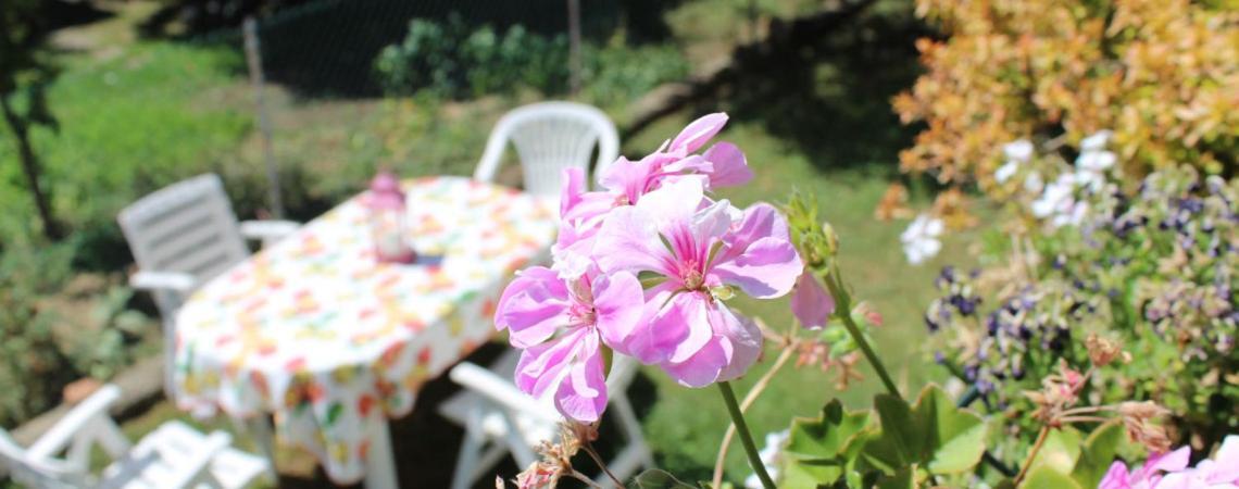 B&B Via Roma Cesate Bagian luar foto